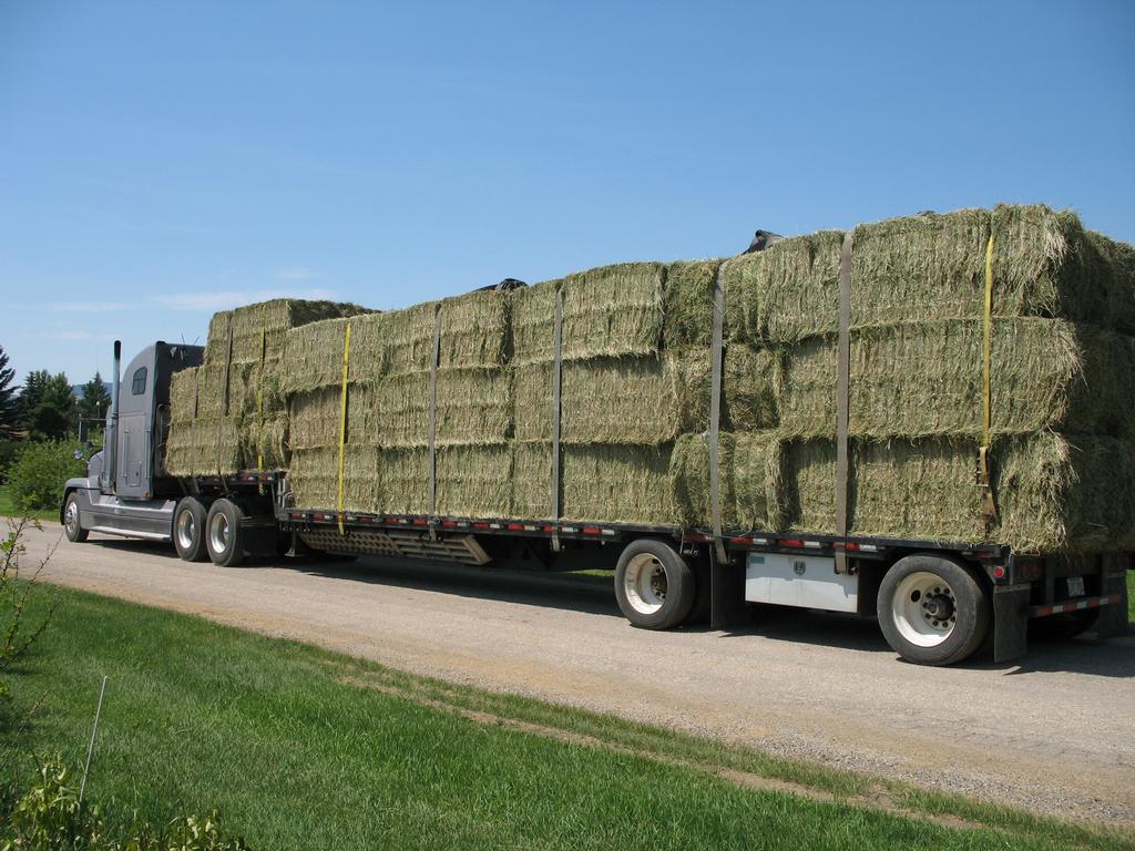 Montana Custom Hay Lewistown MT 59457 4065386800